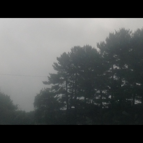 Meet your Posher, Hailley - Picture 1 of 1